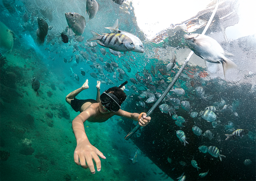 mergulho com peixinhos na lagoa azul em ilha grande - angra dos reis